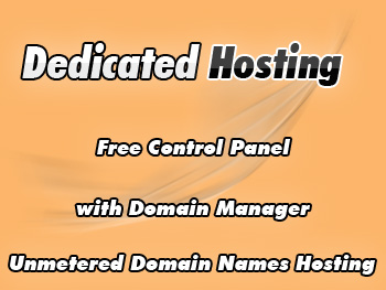 Economical dedicated server service